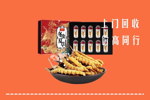 徐州市回收虫草